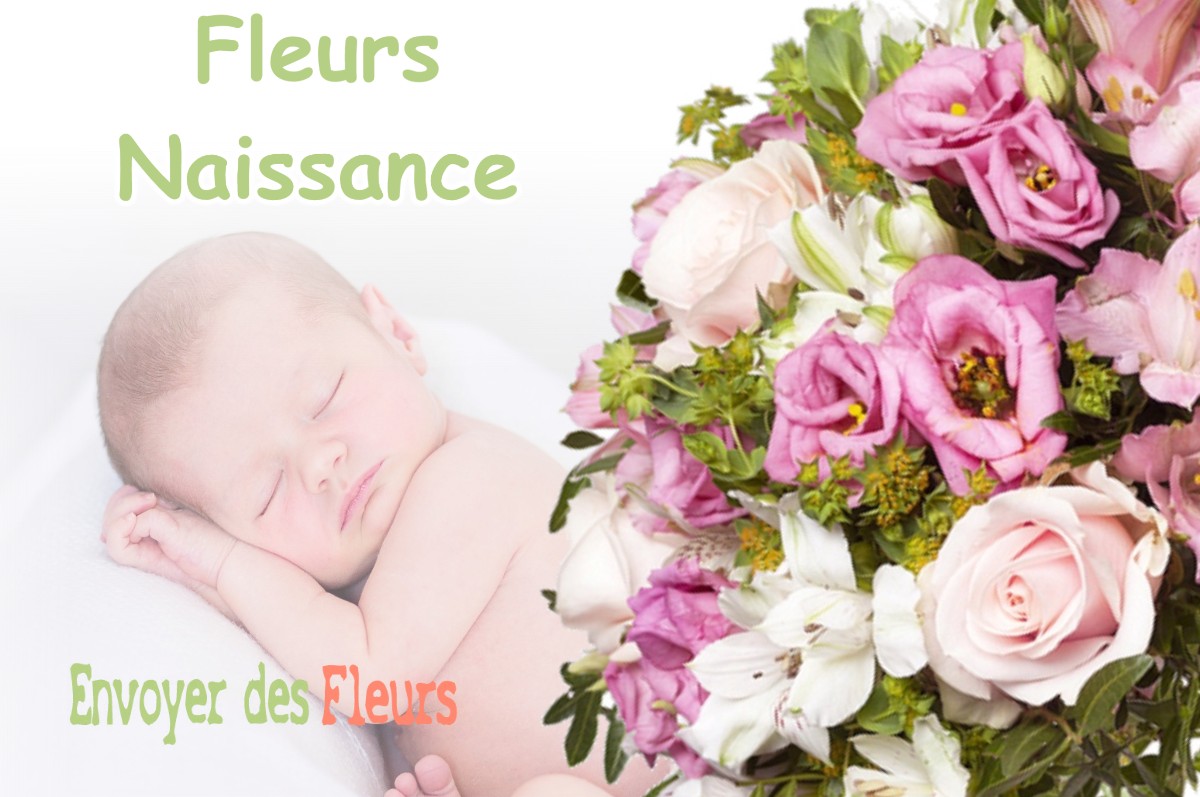 lIVRAISON FLEURS NAISSANCE à LACHALADE